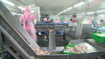 慶云和美食品銷售額突破2億元，產業興旺助力周邊就業改善