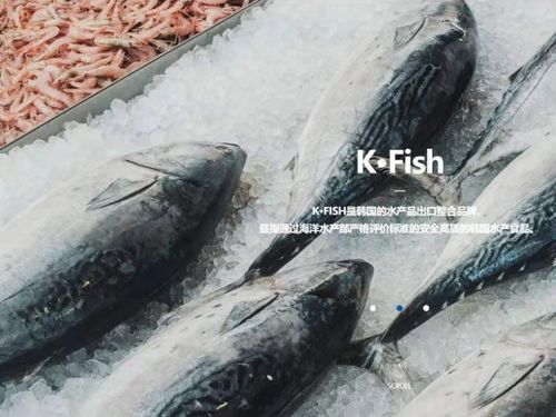 韓國水產協會上海貿易支援中心舉辦K-Seafood線上采購洽談會，助力國內貿易代理合作